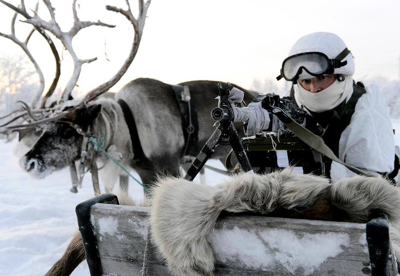 Illustration for article titled Russian Soldiers Go Native For Arctic Ops Using Reindeer And DogsledsĀ
